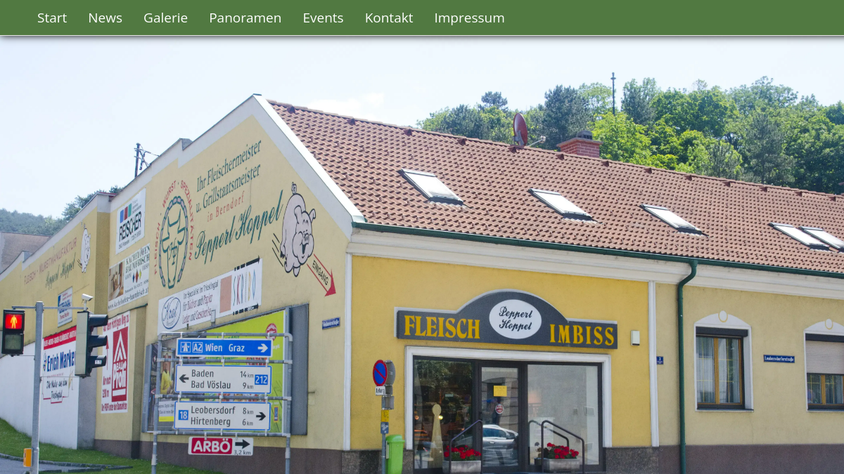 Website-Vorschau von Pepperl Hoppel