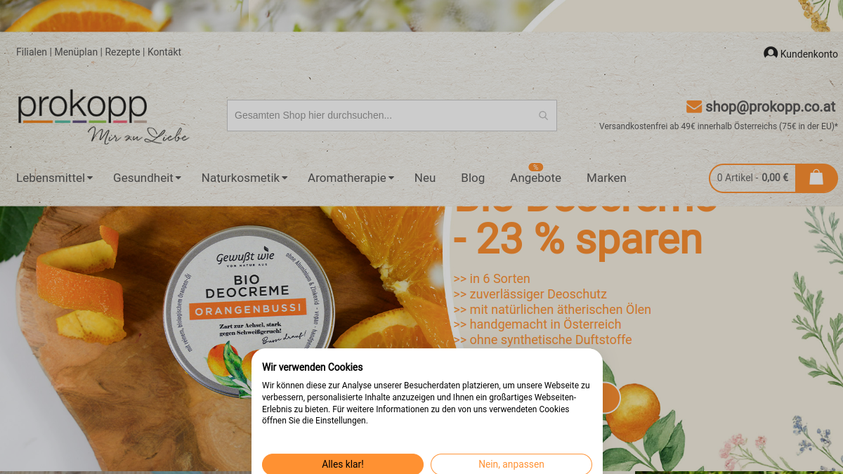 Website-Vorschau von prokopp Baden