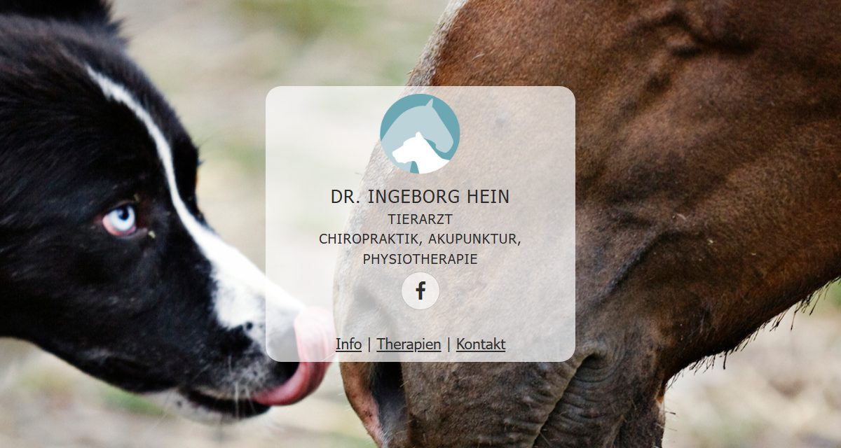 Ansicht von Dr. Ingeborg Hein – Tierarzt und Tierphysiotherapie