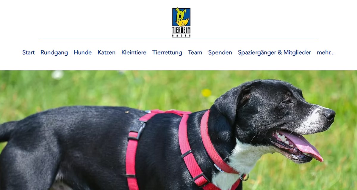 Ansicht von Tierheim Baden