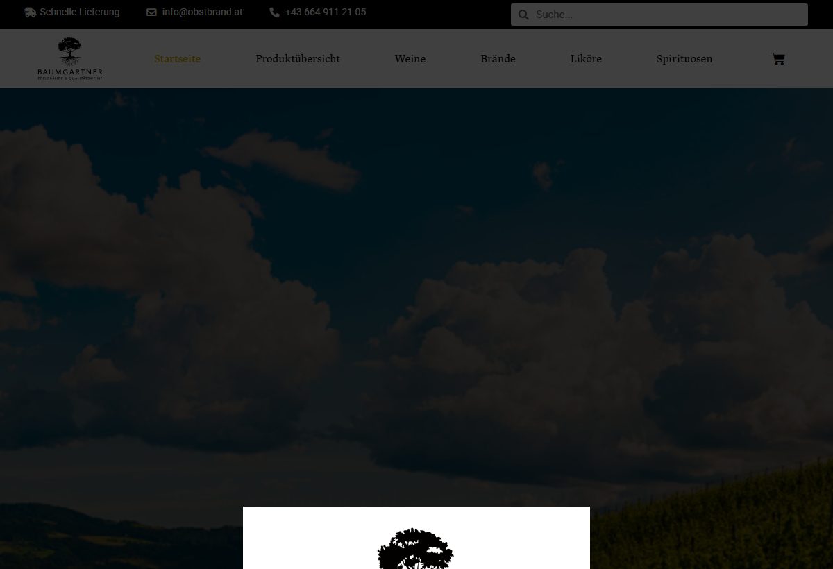 Website-Vorschau von Top Heuriger Markwardkeller Baumgartner