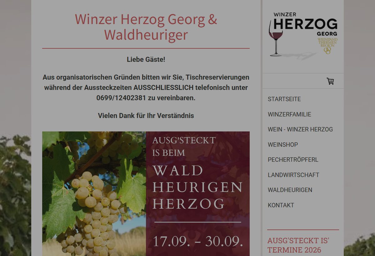 Website-Vorschau von Winzer Herzog Georg & Waldheuriger