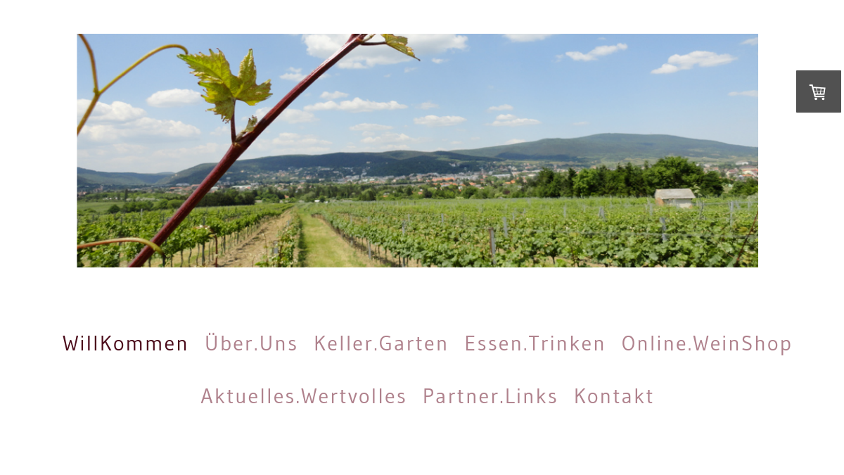 Website-Vorschau von Weingut Fischer-Kügerl