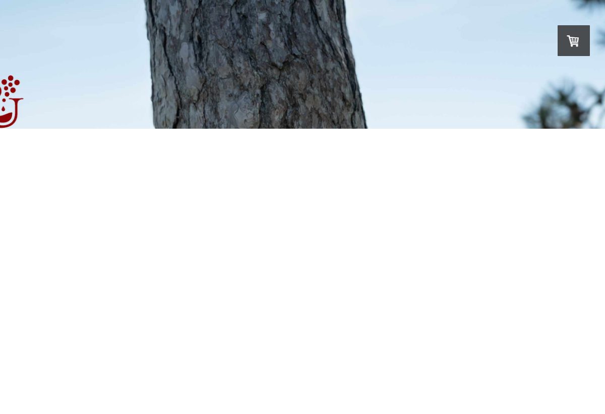Website-Vorschau von Weingut Heuriger Schachl