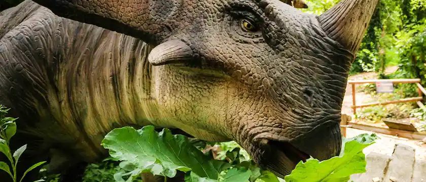 Lebensgroßes Modell eines Triceratops zwischen grünen Blättern im Waldstück des Dumba Parks, bei Tag fotografiert